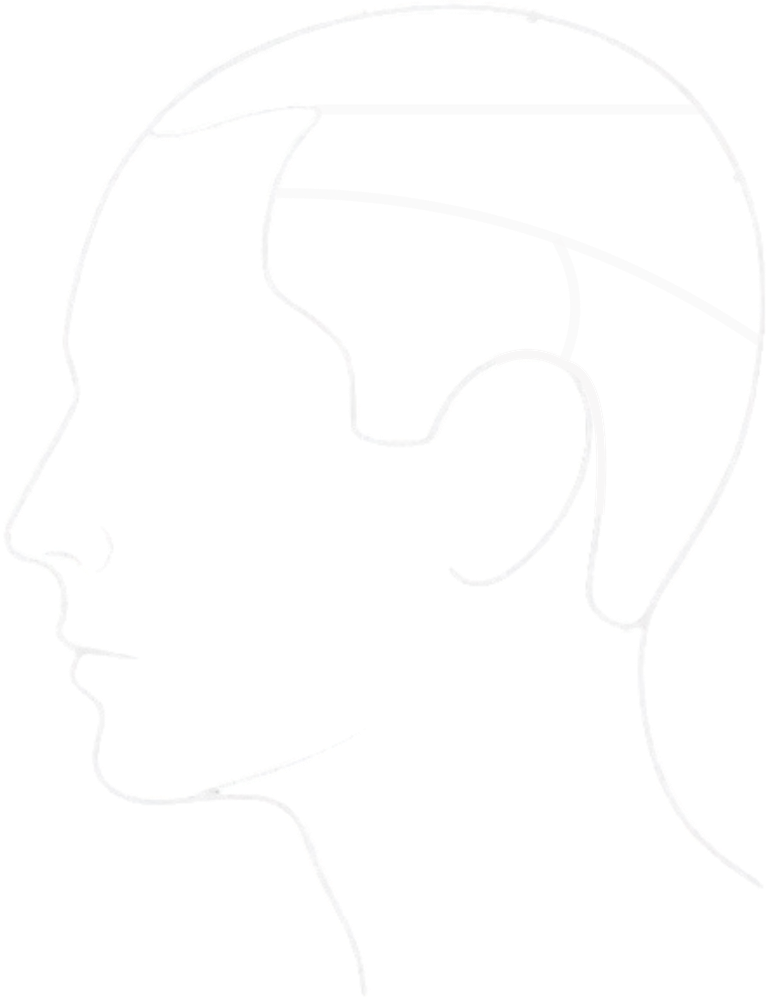 Head from the side